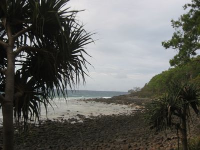 l0285.JPG