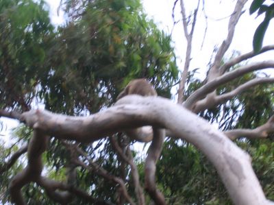m0187.JPG