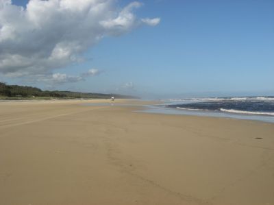 j0344.JPG
