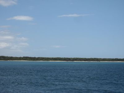 l0203.JPG