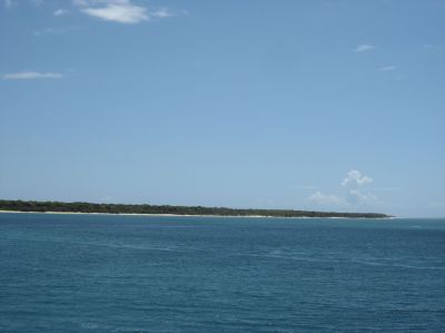 l0204.JPG