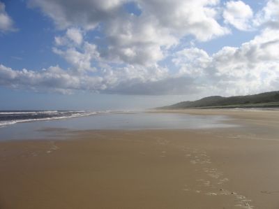 m0147.JPG