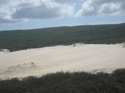 j0379.JPG