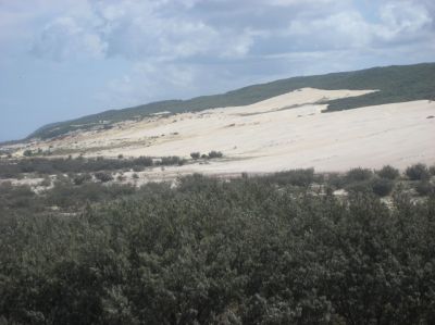 j0380.JPG