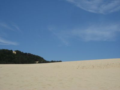 l0273.JPG