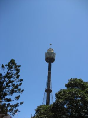j0014.JPG