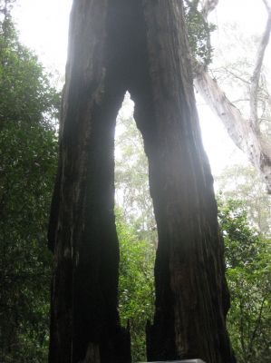j0549.JPG
