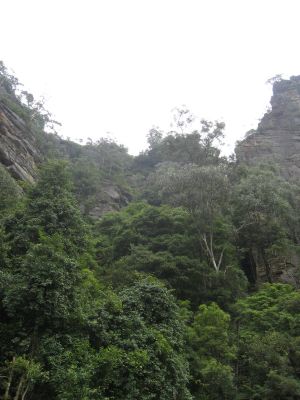 l0408.JPG