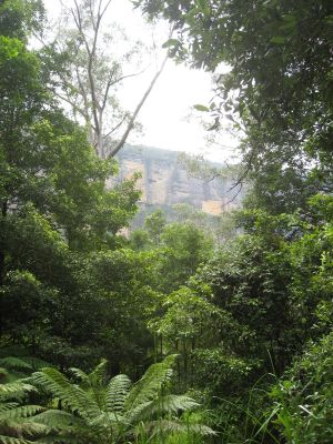 l0416.JPG