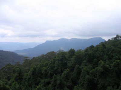m0320.JPG
