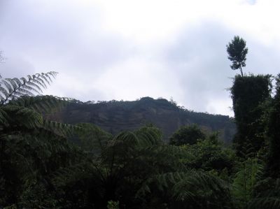 m0325.JPG
