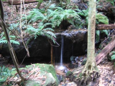 m0329.JPG