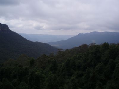 t0039.JPG