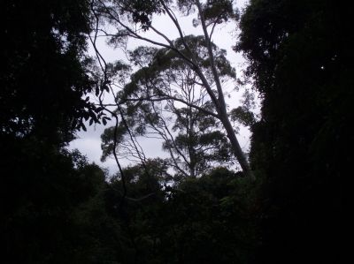 t0047.JPG