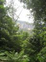 l0416.JPG