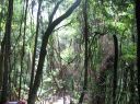 m0326.JPG