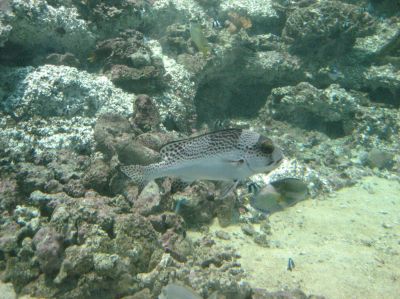 j0933.JPG