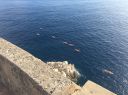 4424.JPG