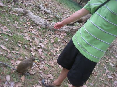 Picture_922.jpg