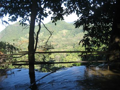 IMG_2948.JPG