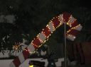 IMG_2914.JPG
