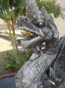 Picture_1010.jpg