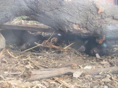P2110859.JPG