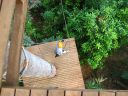 IMG_3200.JPG