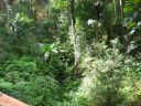 IMG_3247.JPG