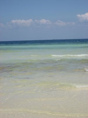 Picture_1227.jpg