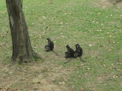 Picture_1187.jpg