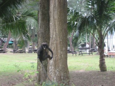 Picture_1192.jpg