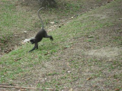 Picture_1193.jpg