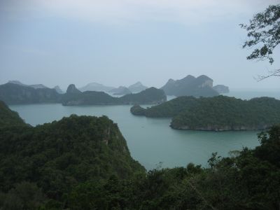Picture_1195.jpg