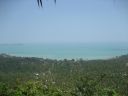 Picture_1180.jpg