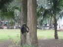 Picture_1192.jpg