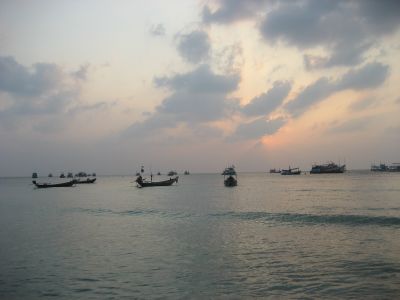 Picture_1155.jpg