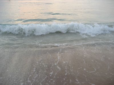 Picture_1156.jpg