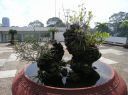 P1010020.JPG
