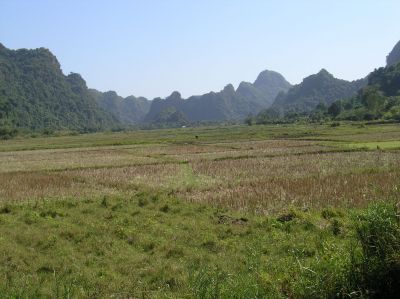 P1010127.JPG