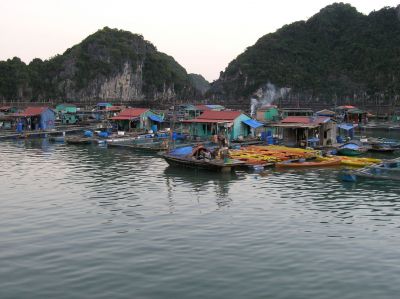P1010136.JPG