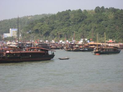 Picture_335.jpg