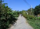 P1010116.JPG