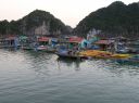 P1010136.JPG