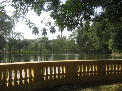 Picture_272.jpg