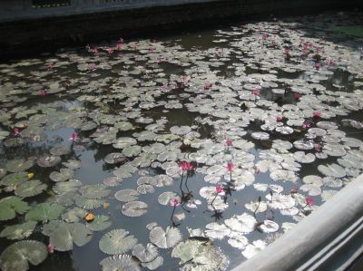 Picture_294.jpg