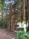 P1010042.JPG