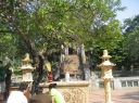 Picture_286.jpg
