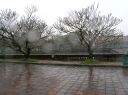 PC070352.JPG