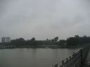 Picture_649.jpg